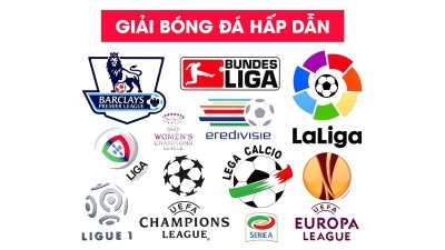 Bong da lu - bongdalu-vip.net đối tác đắc lực trong thế giới thể thao